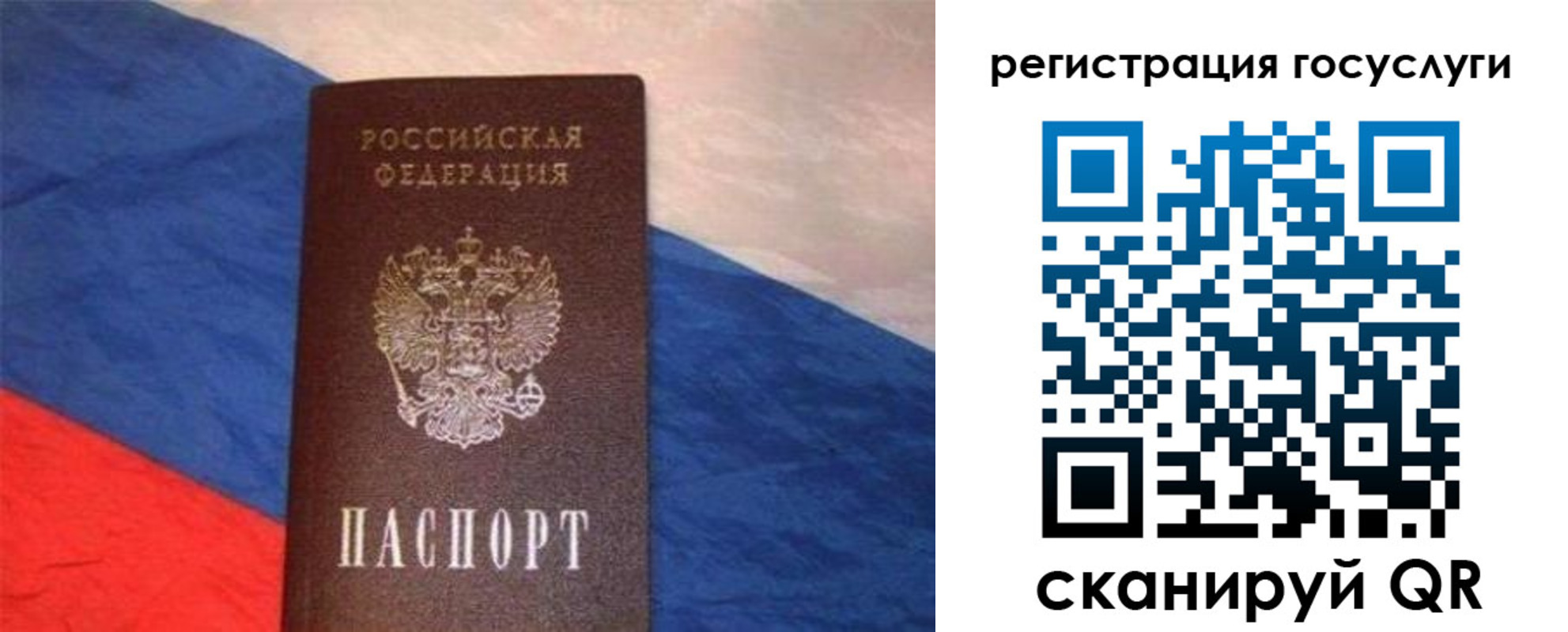 временная регистрация гарантия в Долгопрудном